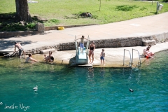 Diving amongst ducks.