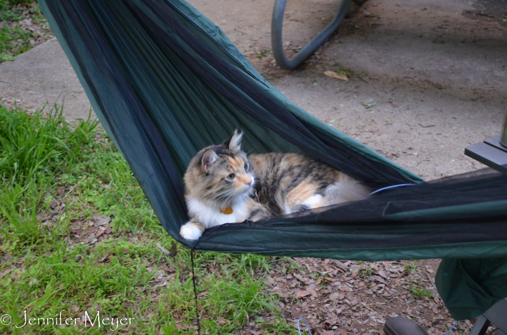 She's feeling more at home in the hammocks.