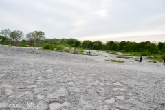 You have to walk across lava rock to get to the falls.