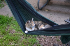 She's feeling more at home in the hammocks.