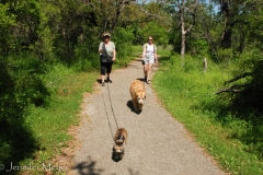 A family walk on Easter morning.