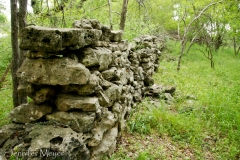 Old homestead rock fence.