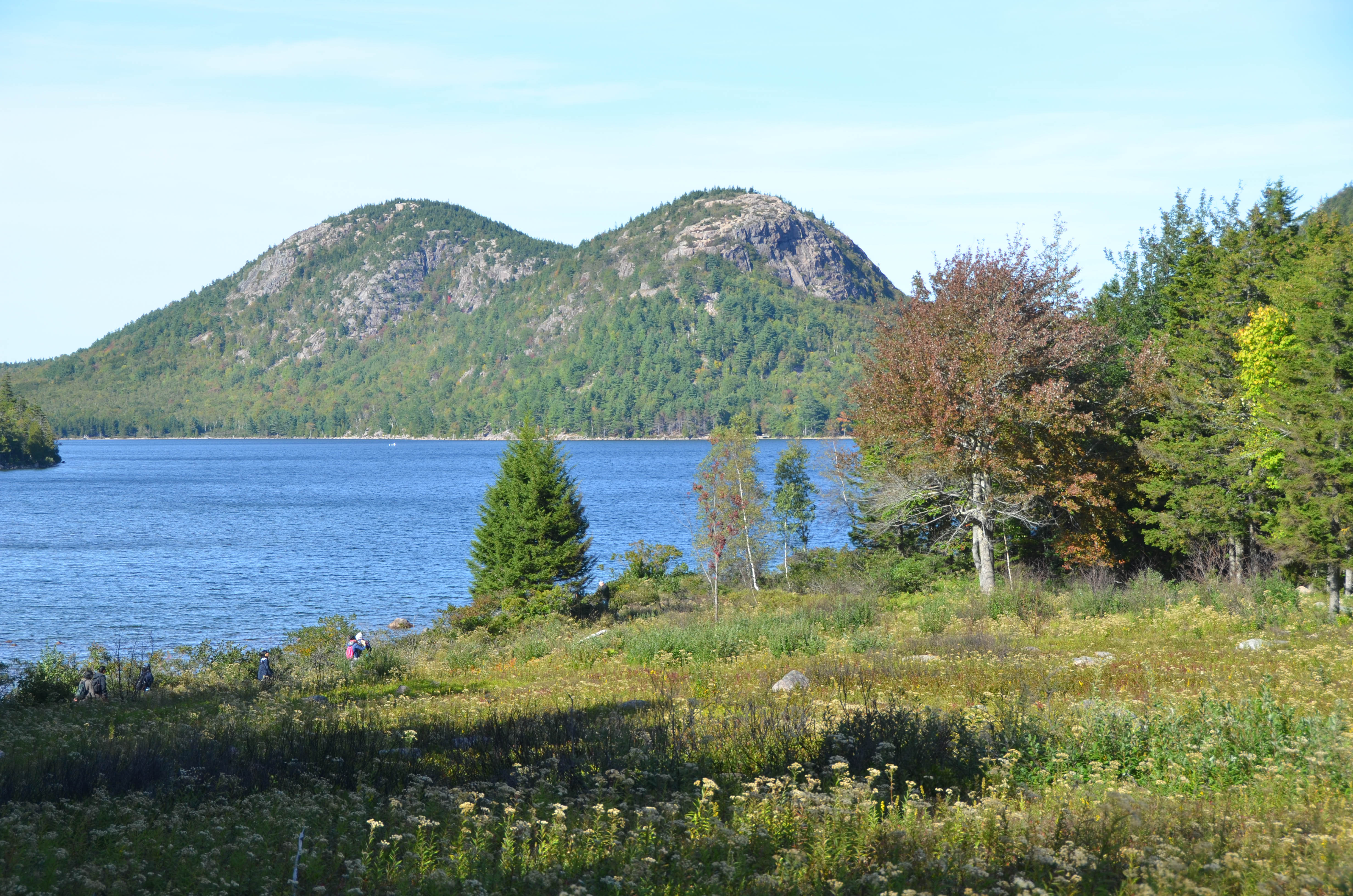 It's a pretty big pond!