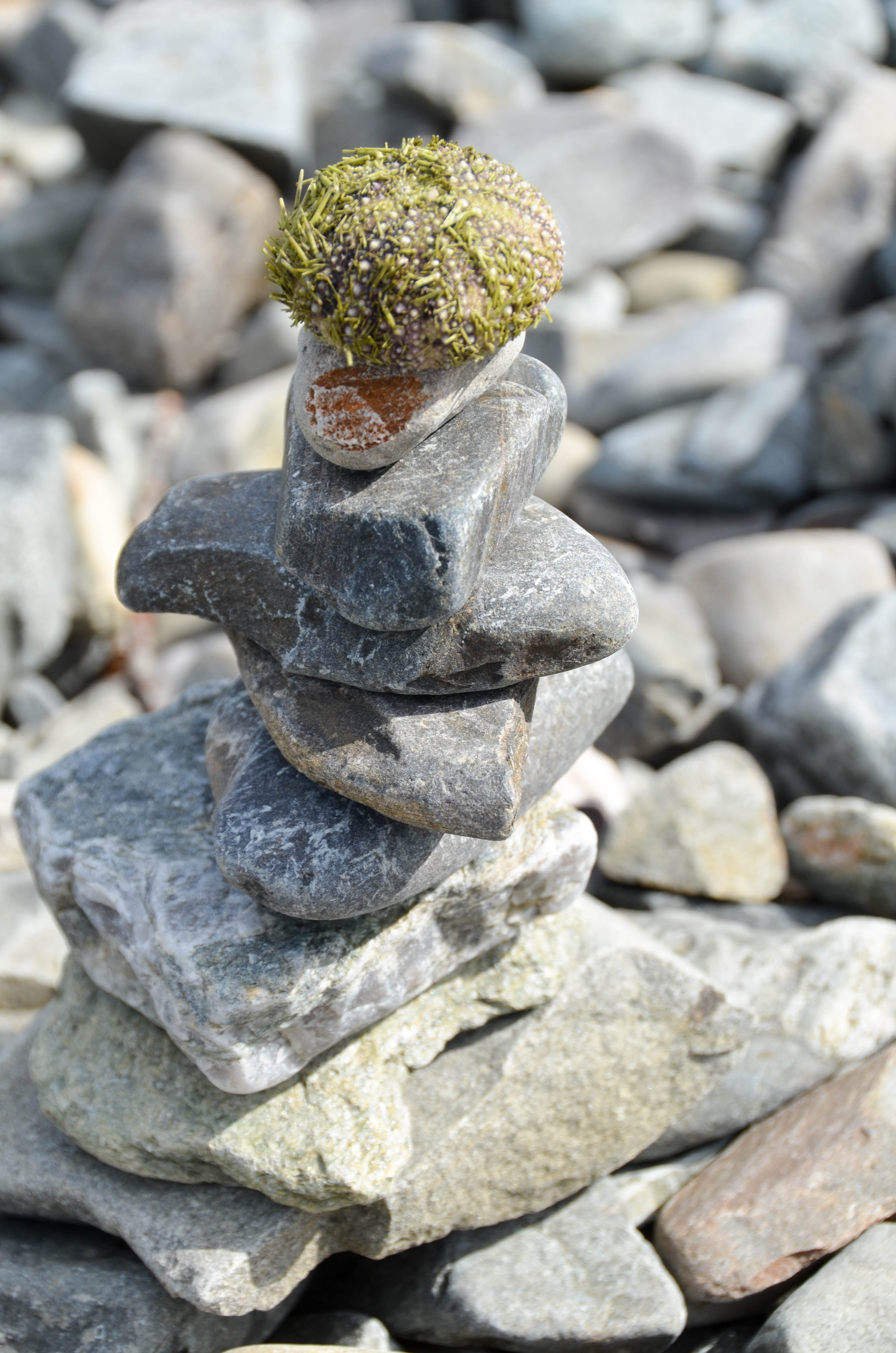 This one was topped with a sea urchin.