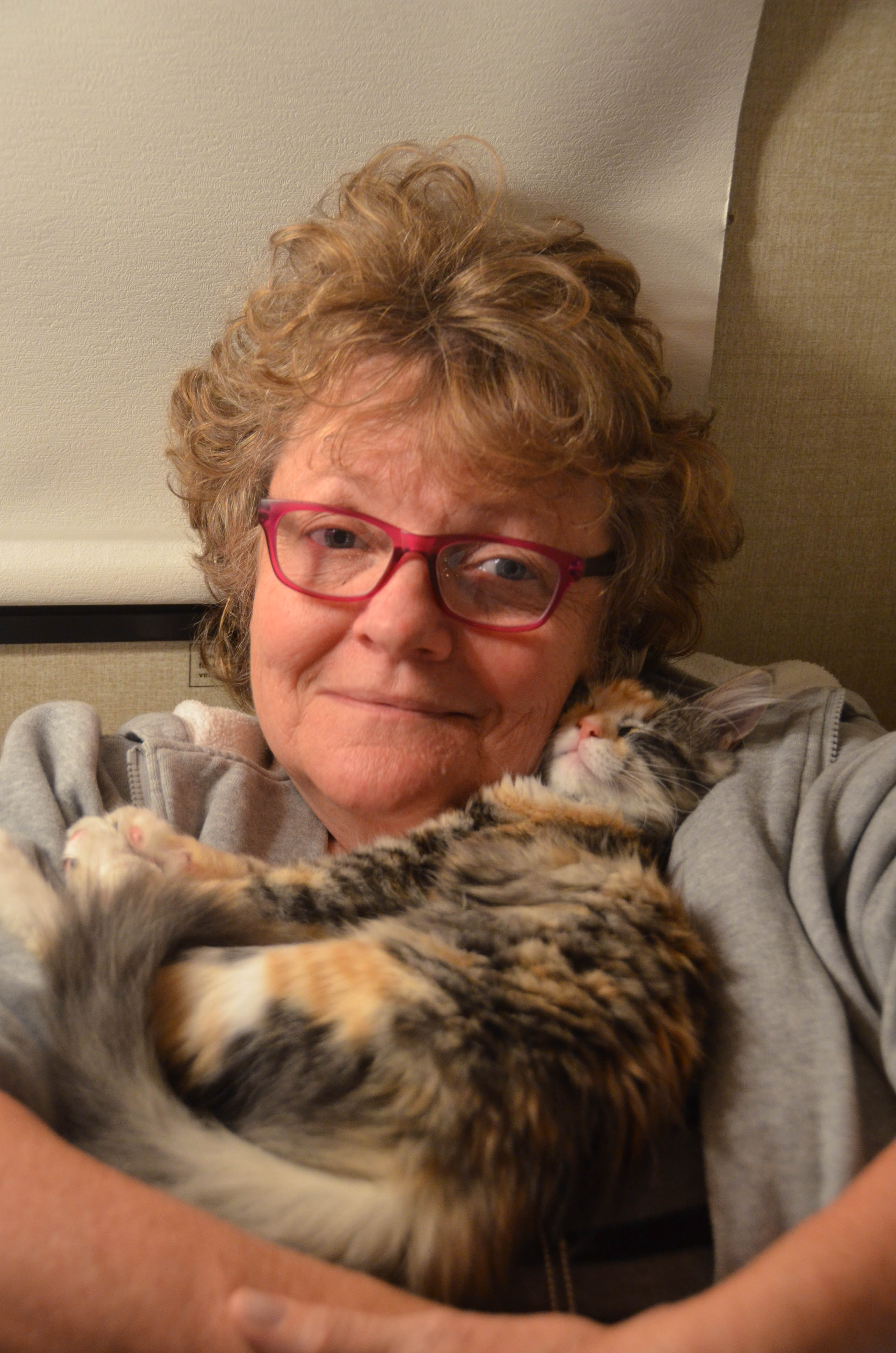 She was content to watch warm and snuggly from inside.