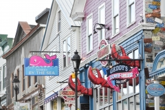 Downtown Bar Harbor.
