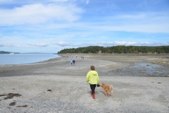 We walked on the sandbar to Bar Island.