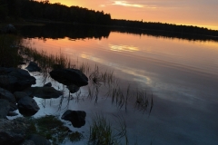 I loved how the water reflected the colors.