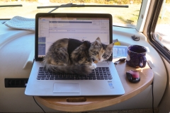 Gypsy thinks I pay too much attention to this thing.