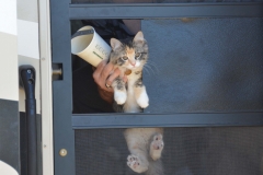 She almost did escape this time.