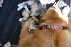 But when she konks out, she redeems herself.