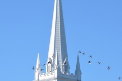 We drove along the coast from Bar Harbor to Nova Scotia.
