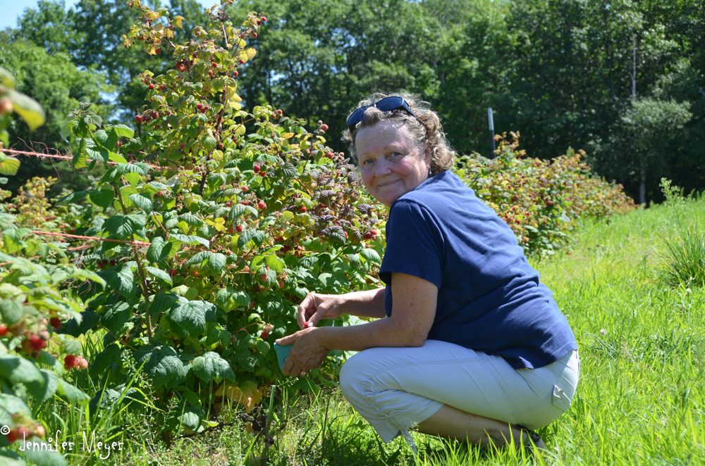 Raspberries are Kate's favorite.