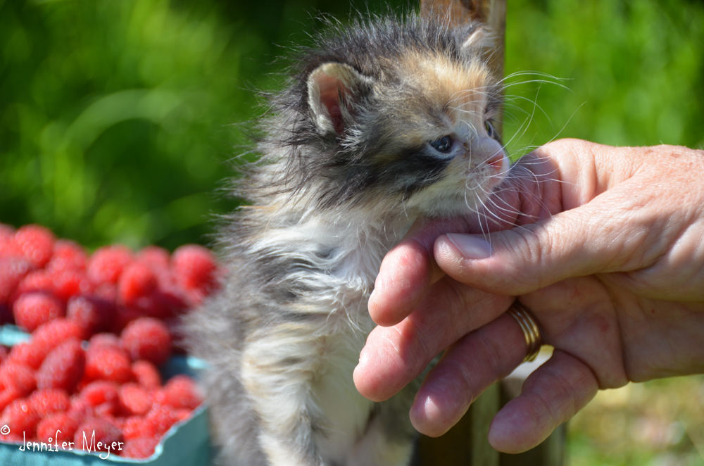 Little scruffy.