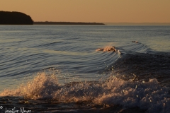 The water was exquisite.