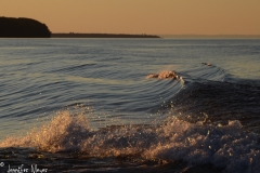 The water was exquisite.