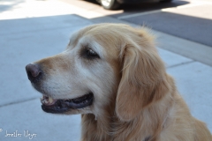 And both Bailey and Gypsy got lots of love from the young women who worked there.