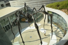 Spider sculpture in the courtyard.