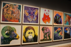 His Endangered Species series.