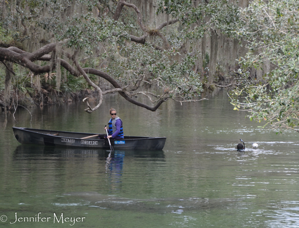 There was a snorkler, too.