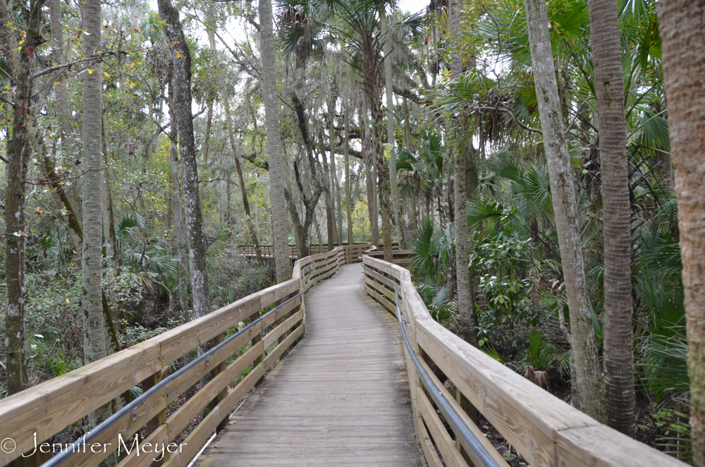 The park had walkways all along the Blue Spring inlet.