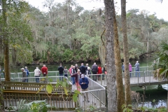 At the end of the boardwalk is a platform by the swimming area.