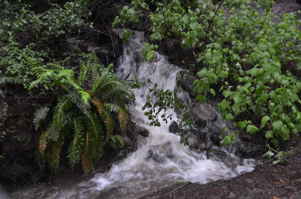 It was raining so hard, there were waterfalls on the side of the road.