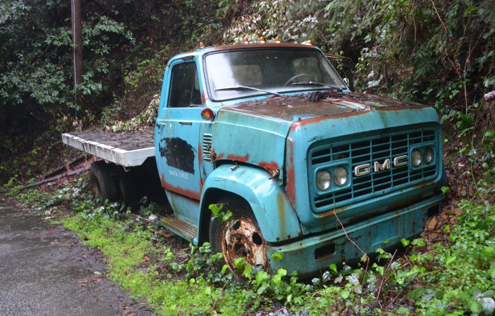 This old truck has been there a while.