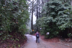 First, we walked up Clear Creek Road.