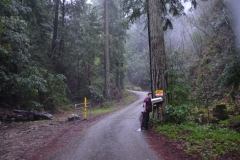 Angelica tags the "Keep Out: Beware of Dog" signs and checks this road off.