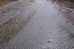 The rain poured down the road in sheets.