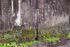 Old shed doors.