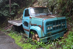 This old truck has been there a while.