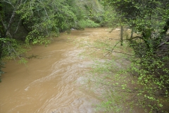 This was the neighborhood swimming hole, flooded now.