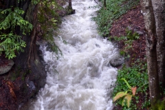 I can only imagine what this creek is doing to that restaurant now.