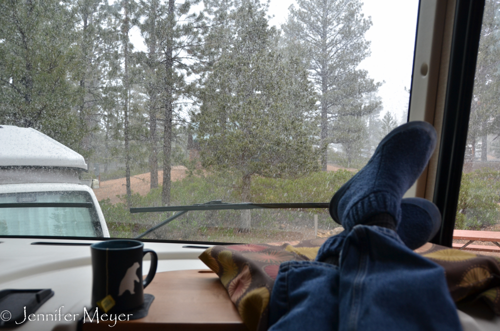 Snug with tea and a view.