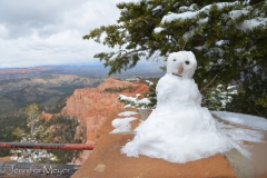 Someone made this little snowman at an overlook.