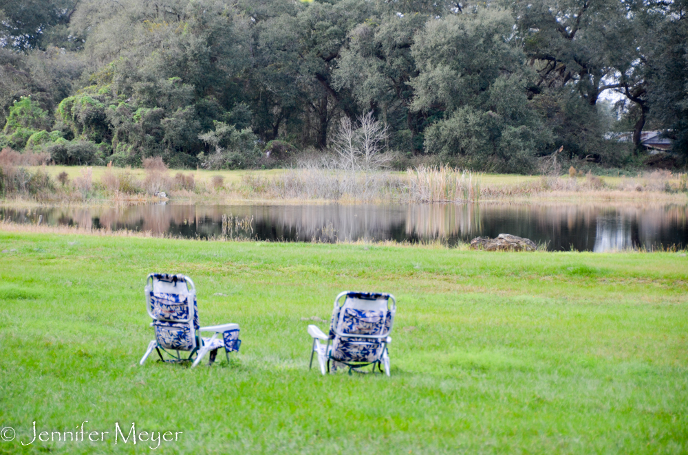 We kept both pets away from the pond, where alligators could be seen.