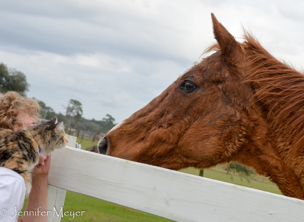 Big nose to little nose.