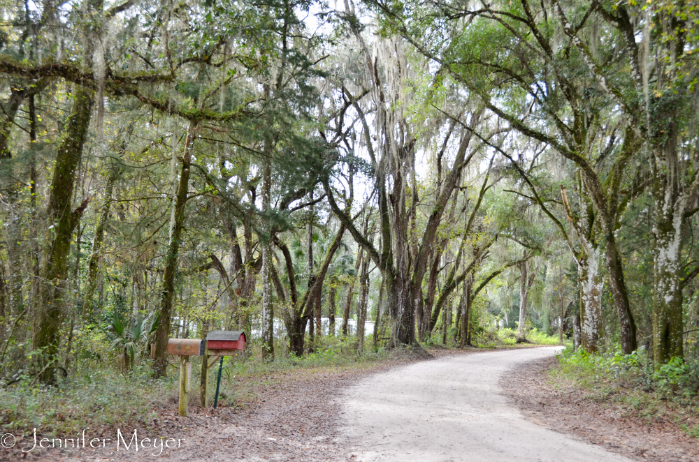 A pretty back road.