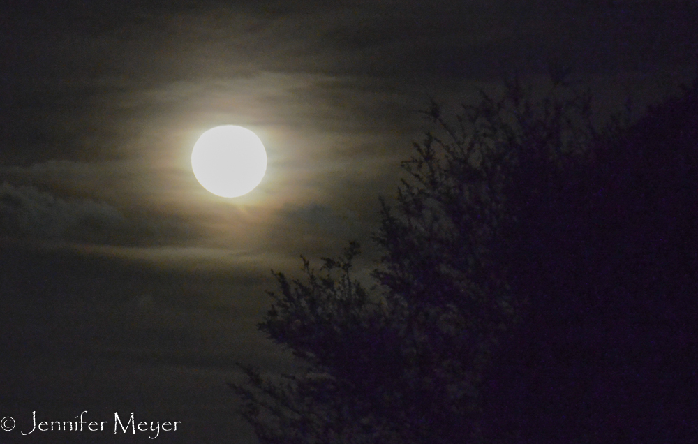 A full moon on Christmas.