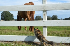 And she was curious about everything.