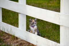 Once she tried to eat grass like they were.