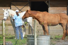 But Mae came twice a day to take care of the animals.