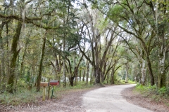 A pretty back road.