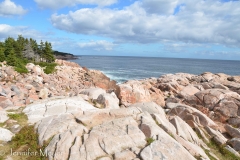 And there were lots of views to stop for.