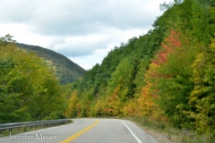 Then we drove up into the mountains.