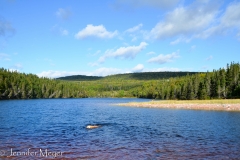 Bailey got to swim in it.