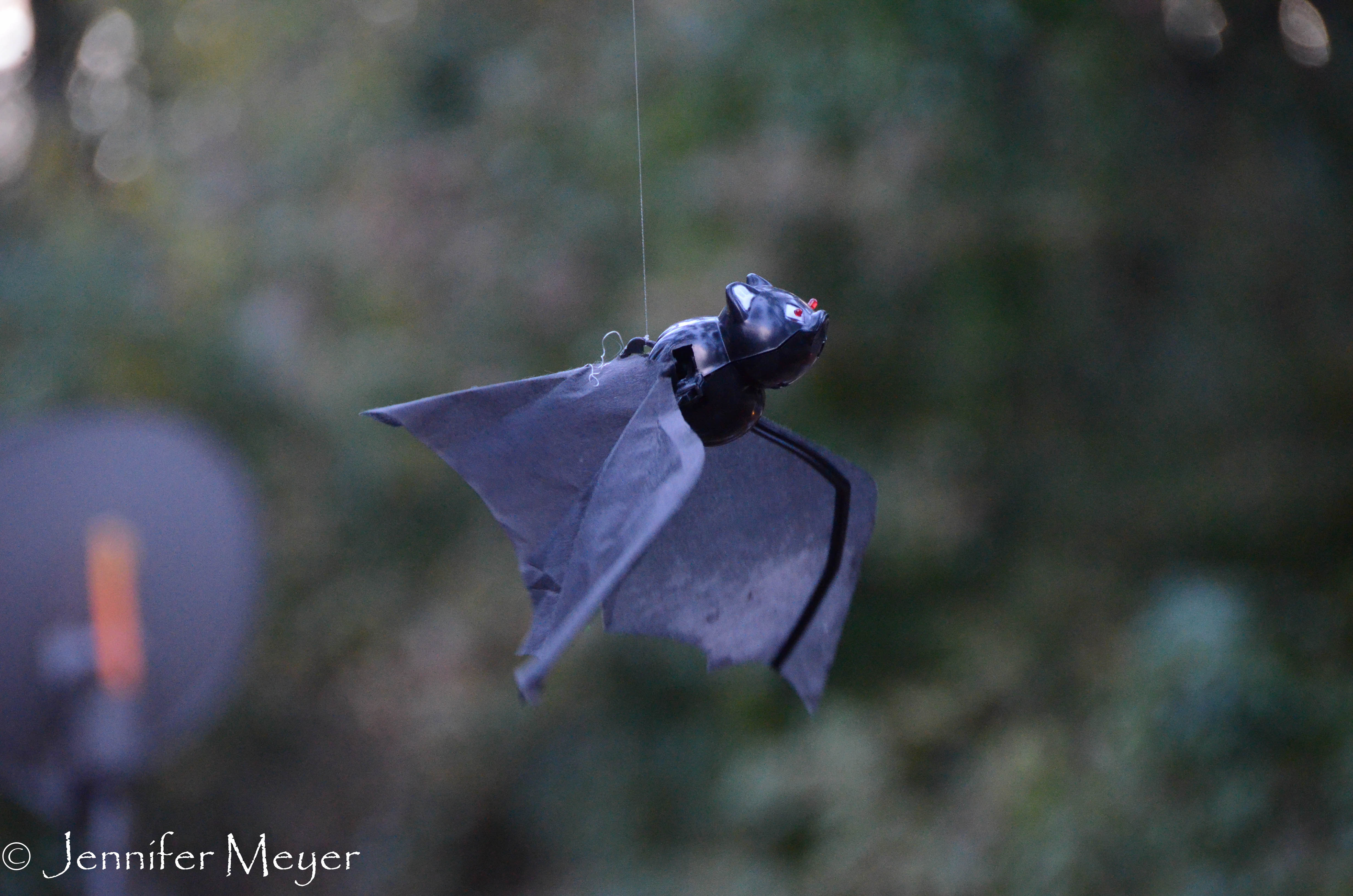 ...at the flying bats.