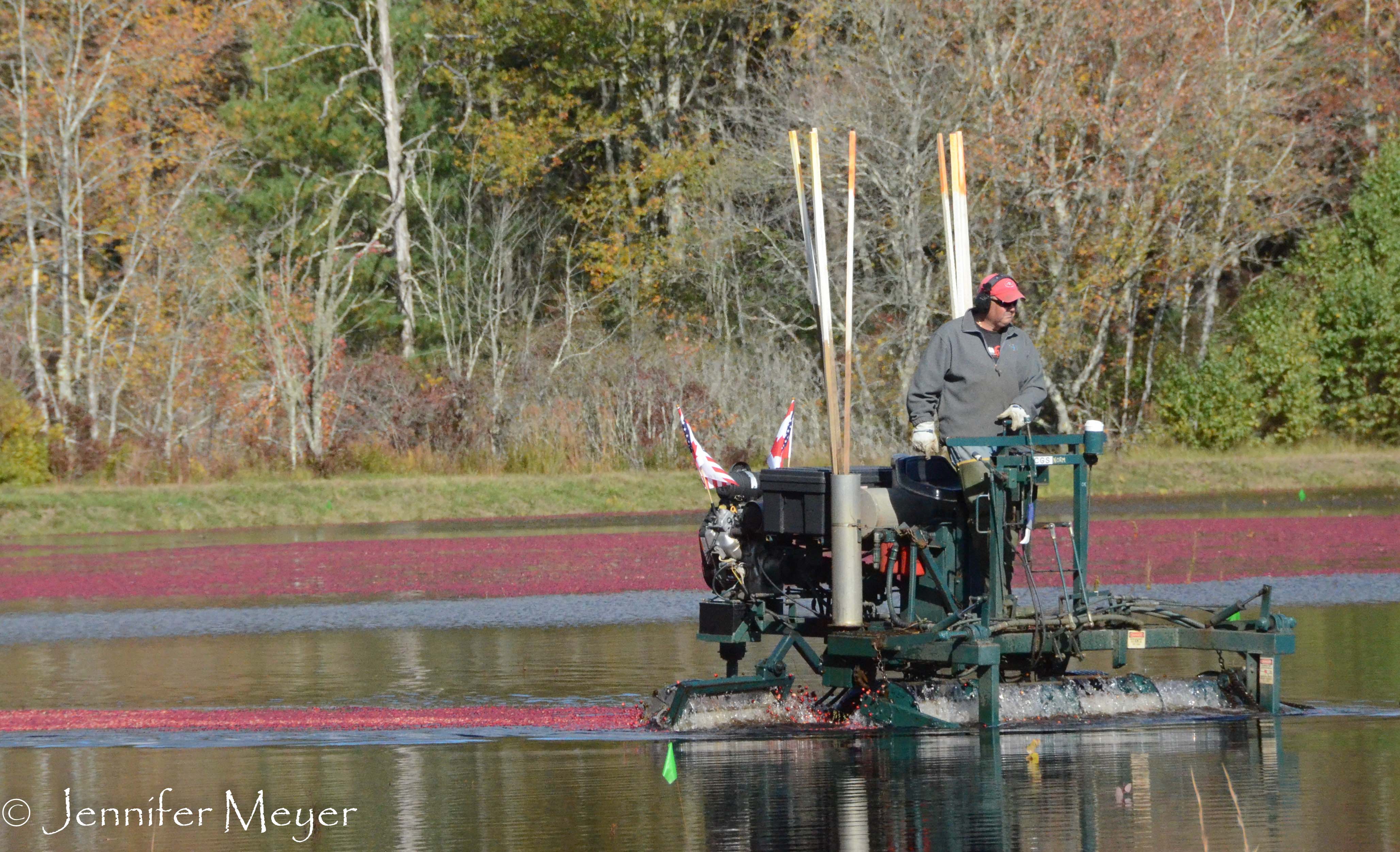 Two men driving "egg beaters" were working the bog.